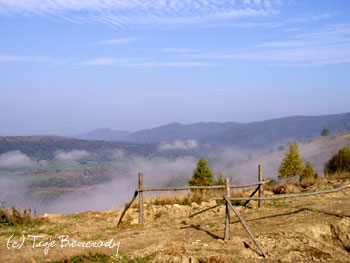 Spowita mgłą dolina wsi Krywe